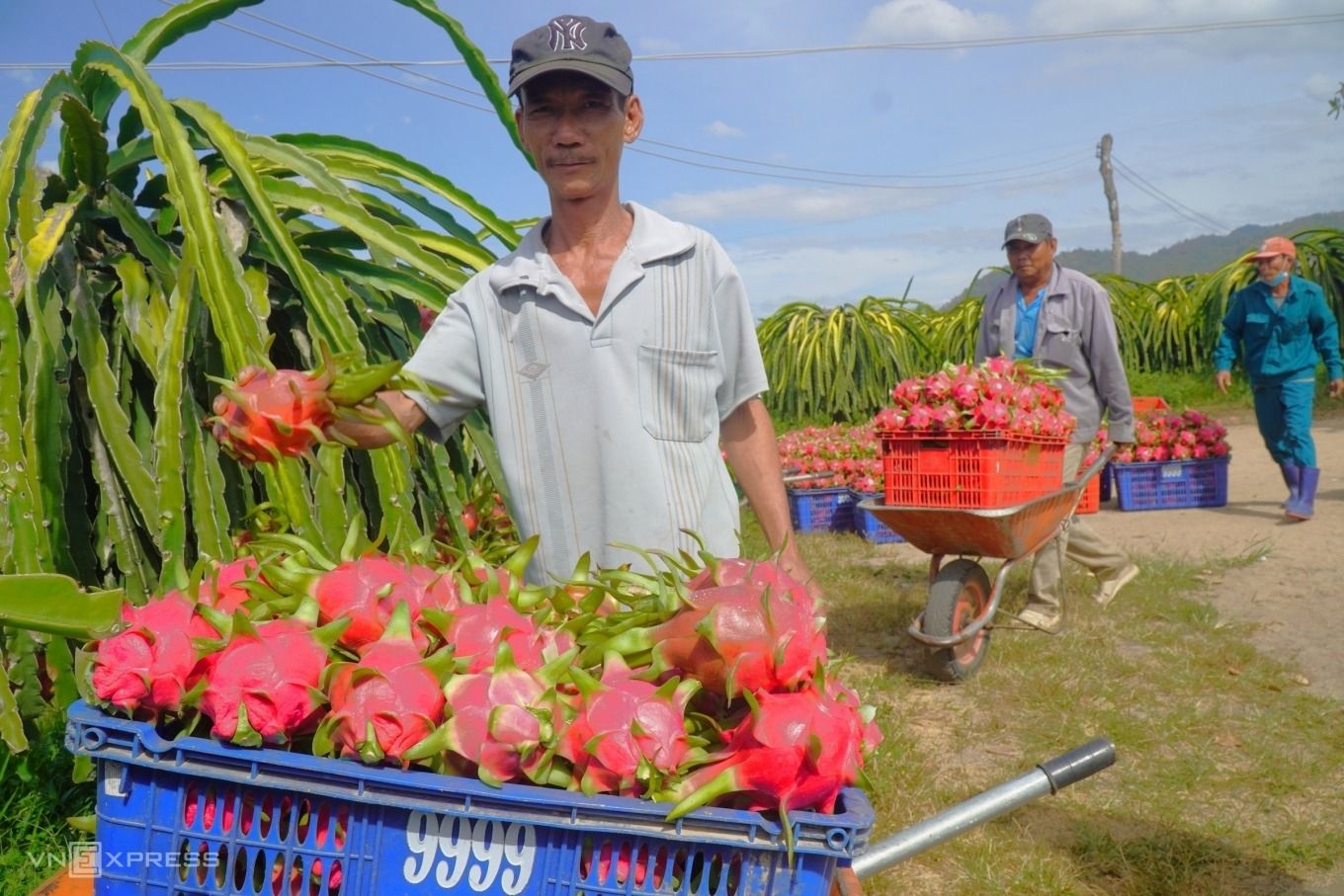 anh-dung-nong-dan-my-thanh-jpg-5313-3693-1754210327.jpg