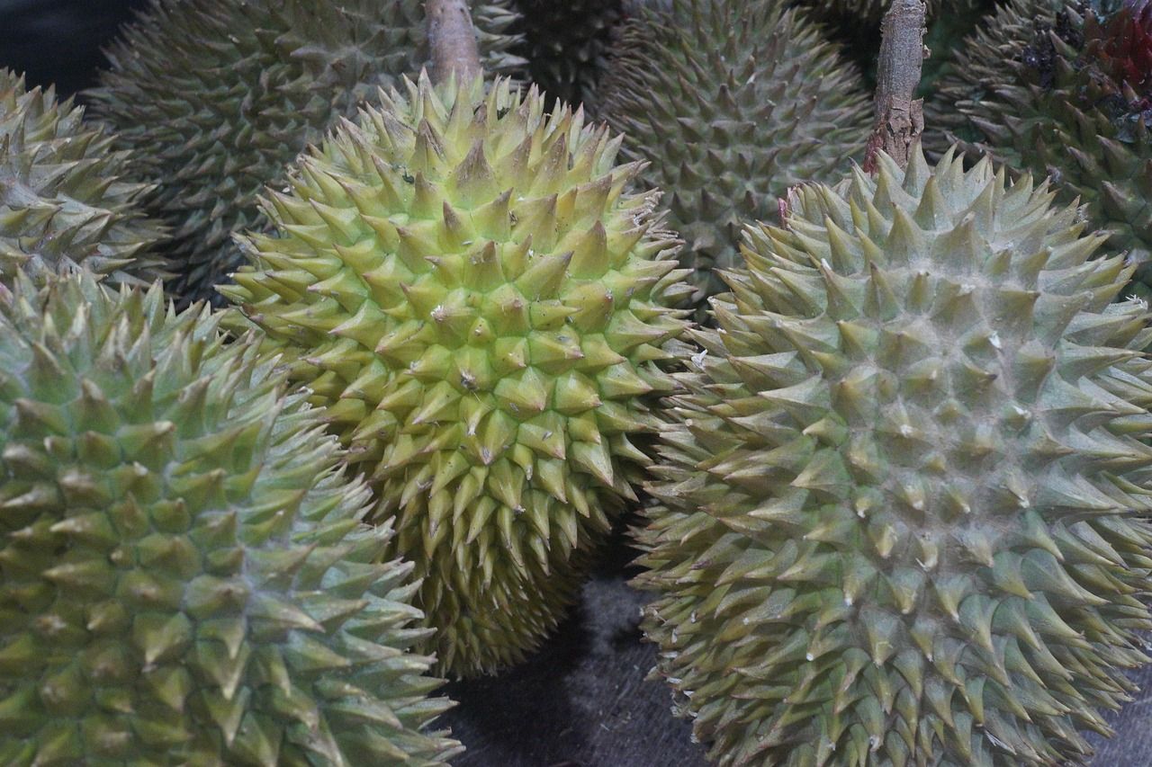 durian-fruit-2720388_1280.jpg